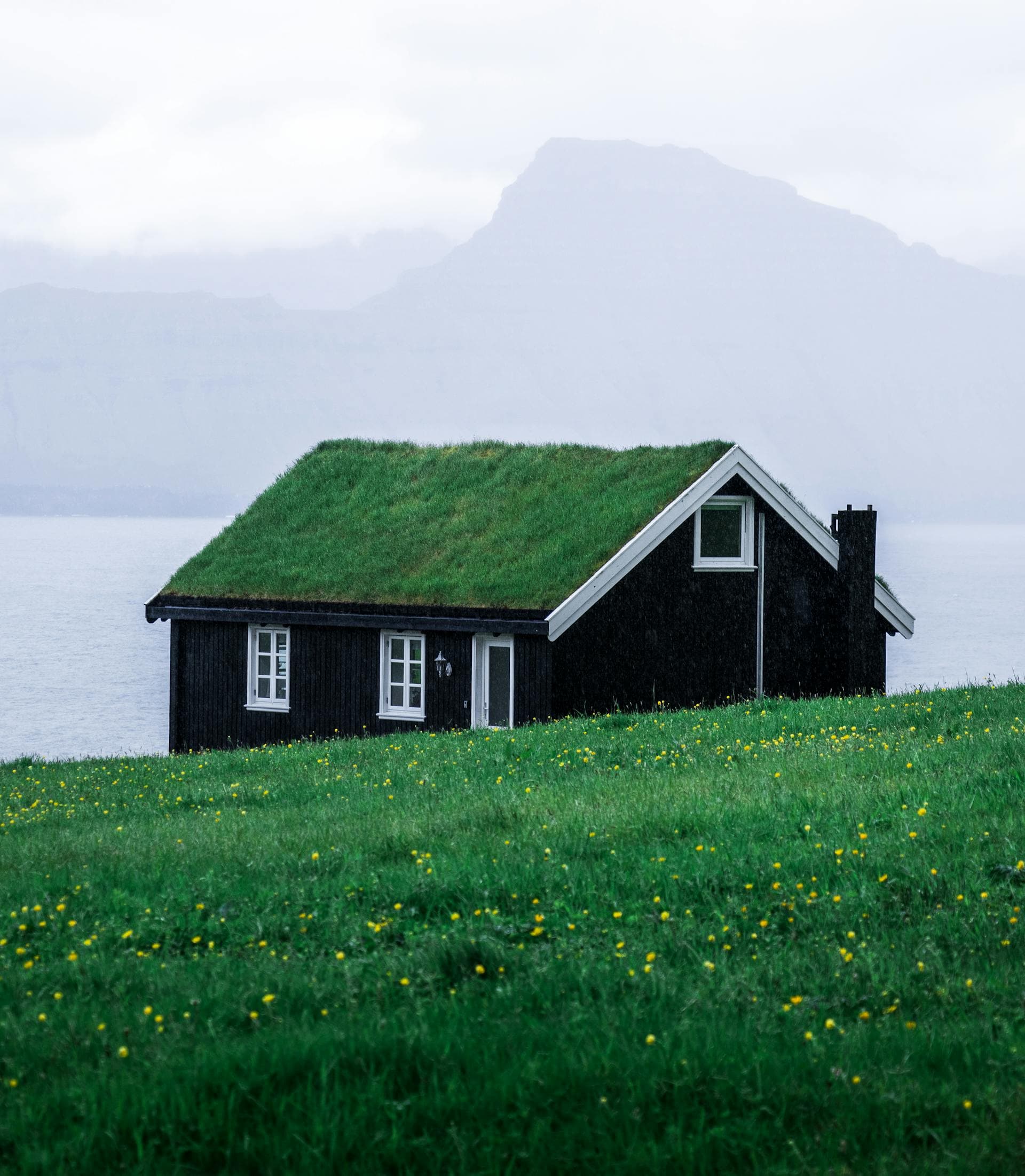 Passive vs Active Radon Systems: Which Does Your Home Need?